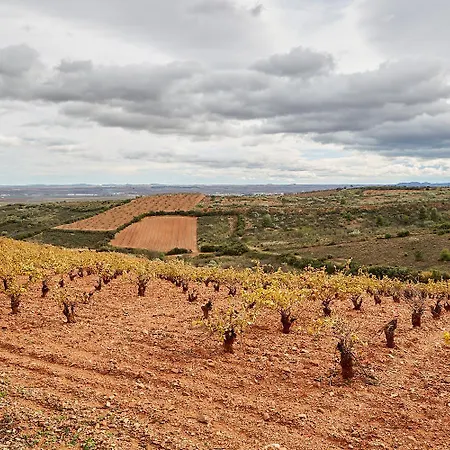 펜션 Pajarilla De *